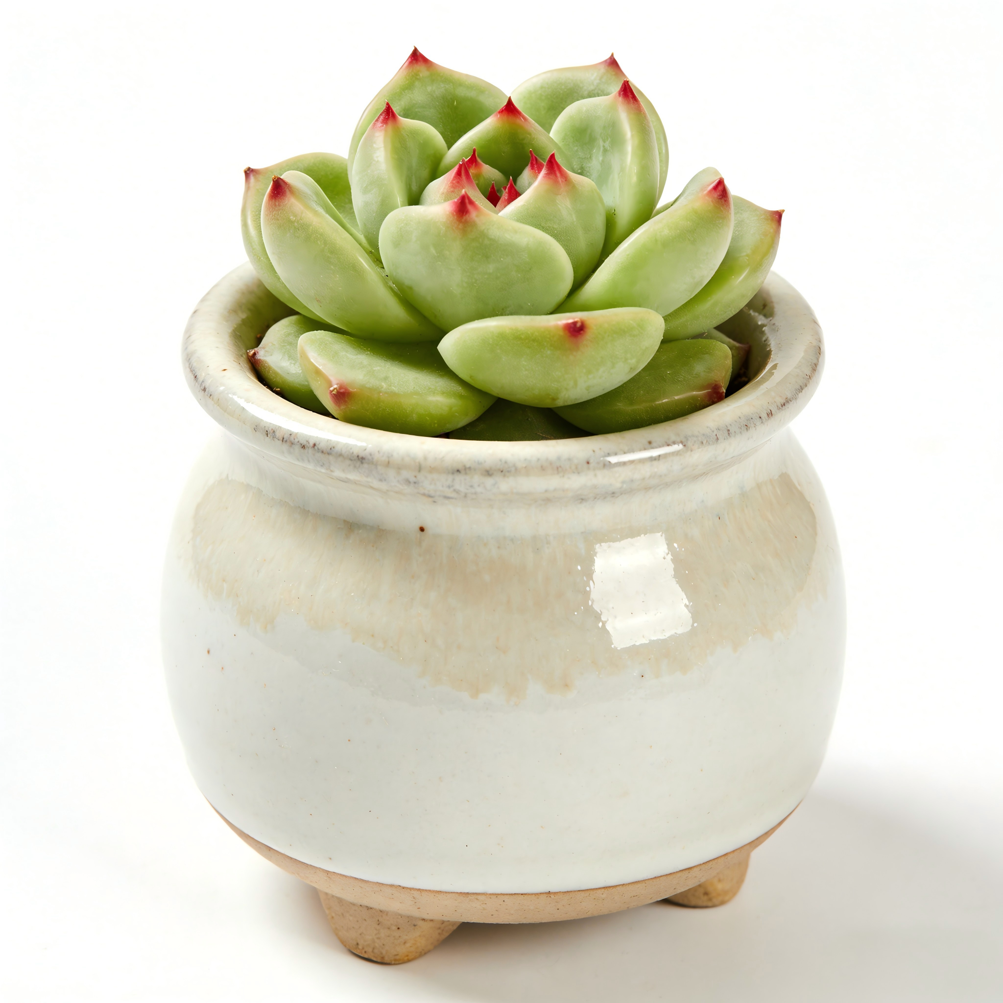 Handcrafted Glazed Ceramic Plant Pot