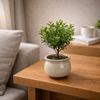 Decorative Tabletop Bonsai Tree